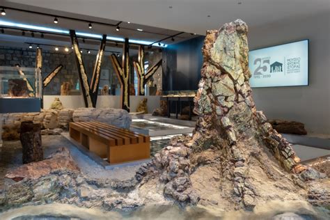 Natural History Museum of the Lesvos Petrified Forest