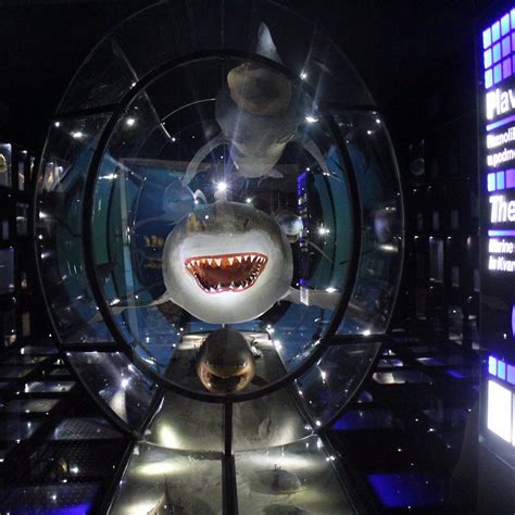 Natural History Museum Rijeka