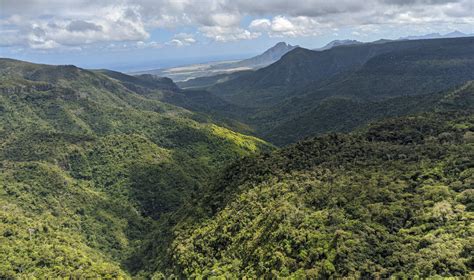 Natural Spring Mauritius