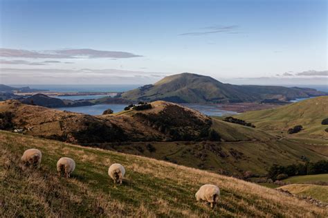 Nature’s Wonders Naturally Otago Peninsula