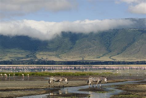Ngorongoro Conservation Area Northern Tanzania
