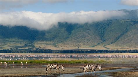 Ngorongoro Crater Northern Tanzania