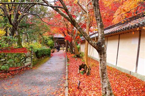 Nison-in Arashiyama & Sagano