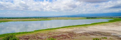 Normatior (Observation Hill) Amboseli National Park