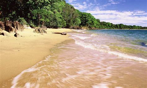 Nosy Mangabe Eastern Madagascar