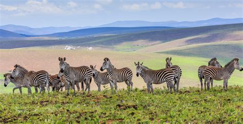 Nyika National Park Malawi