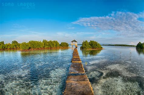 Olango Island Wildlife Sanctuary Cebu