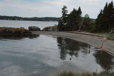 Old Sow Whirlpool New Brunswick