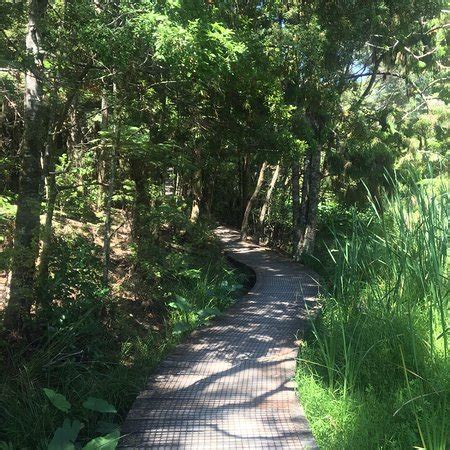 Opua Forest Bay Of Islands