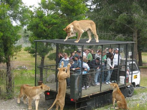 Orana Wildlife Park Christchurch