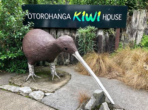 Otorohanga Kiwi House & Native Bird Park Waikato & The Coromandel Peninsula