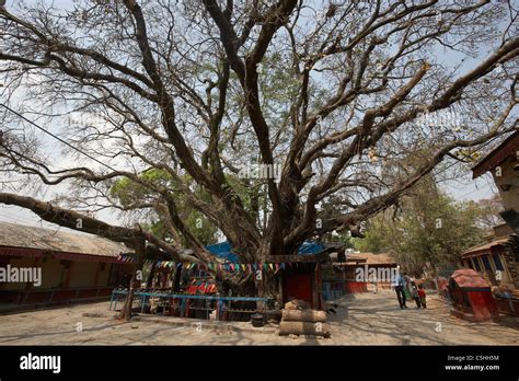 Pachali Bhairab & the Southern Ghats Kathmandu