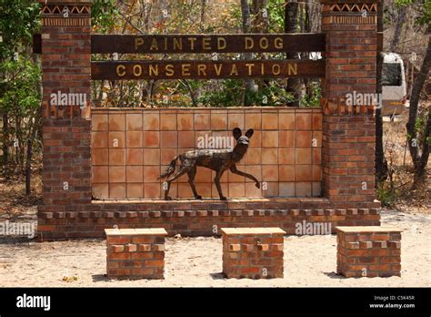 Painted Dog Visitor Centre Zimbabwe