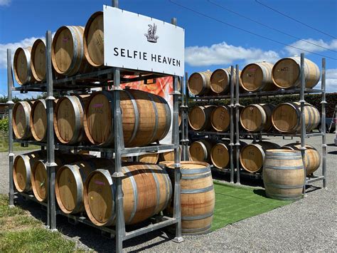 Palliser Wines The Wairarapa