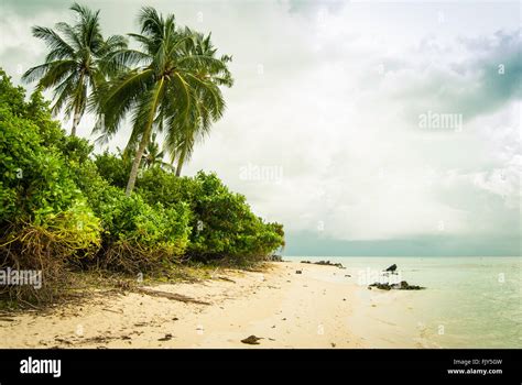 Pantai Tanjung Gelam Karimunjawa Islands