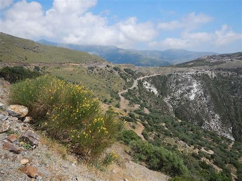 Pappadiana & Amygdalokefali Hania Province