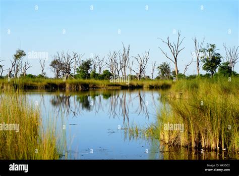 Paradise Pools Okavango Delta