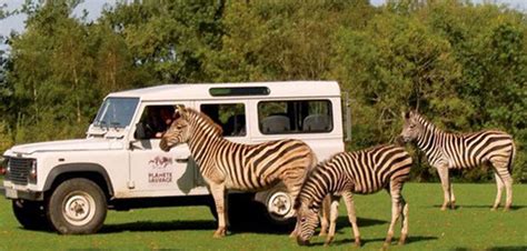 Parc Animalier Wallonia