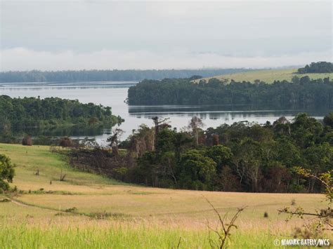 Parc National Conkouati-Douli Republic Of Congo