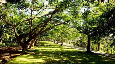 Parc Zoologique et Forestier Noumea