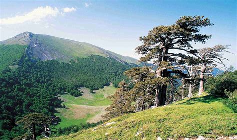 Parco Nazionale del Pollino Calabria