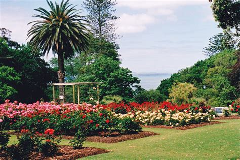 Parnell Rose Garden Parnell & Newmarket