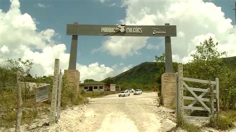 Parque dos Falcões Brazil