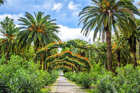 Parque García Sanabria Santa Cruz De Tenerife