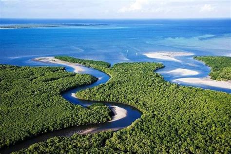 Parque Nacional das Quirimbas Northern Mozambique