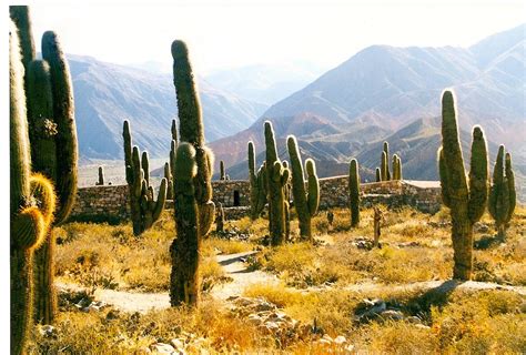 Parque Nacional Los Cardones Salta & Jujuy Provinces