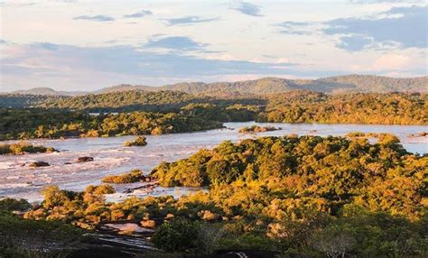 Parque Nacional Natural El Tuparro Los Llanos