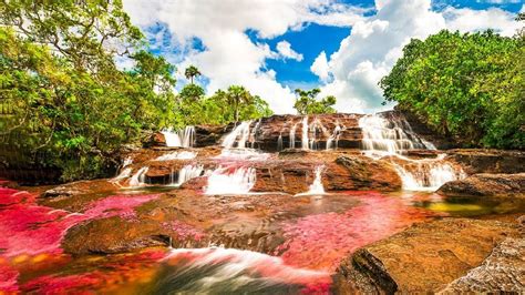 Parque Nacional Natural Sierra de La Macarena Los Llanos