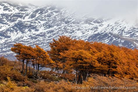 Parque Natural Karukinka Tierra Del Fuego (Chile)
