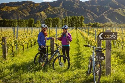 Pasquale Kurow Winery Dunedin & Otago