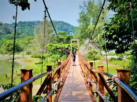 Penang National Park