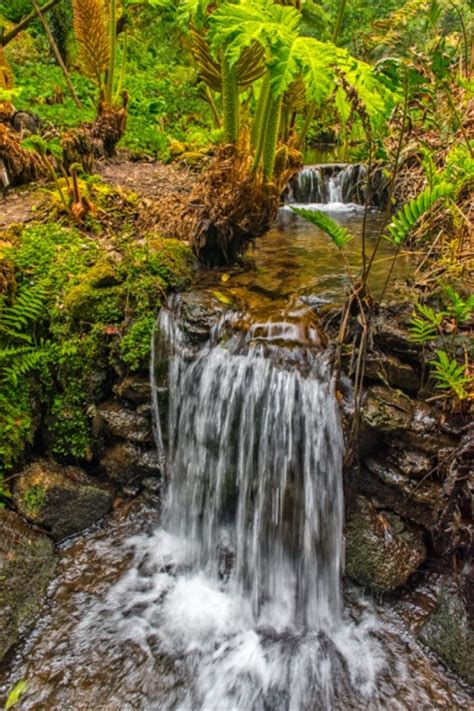 Penjerrick South Cornwall