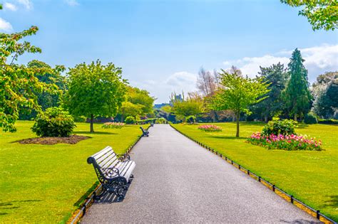 People's Garden Dublin