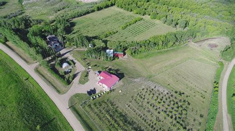 Petrofka Orchard Saskatchewan