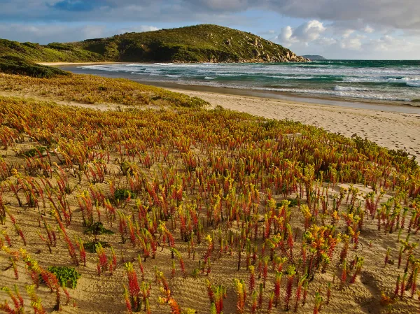 Picnic Bay Victoria