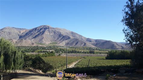 Pisquera Aba Elqui Valley