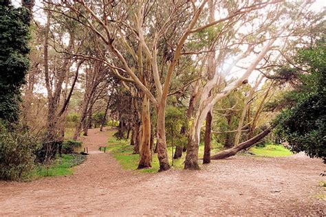 Piñar del Norte Atlantic Coast
