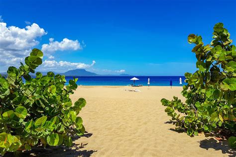 Playa Alicia Sosúa