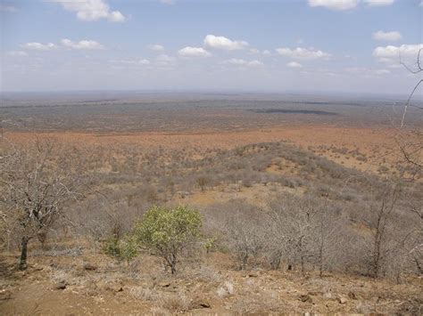 Poacher's Lookout Tsavo West National Park