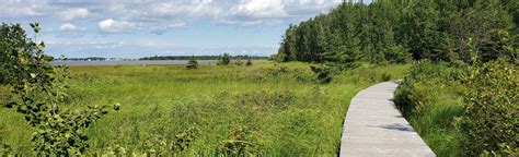 Point Daly Reserve New Brunswick