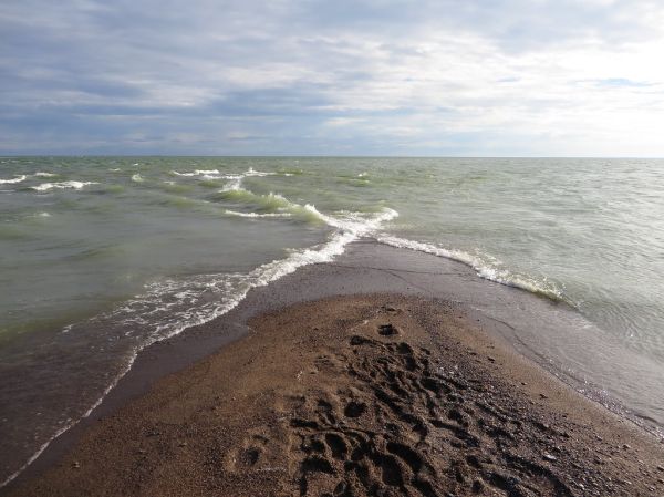 Point Pelee National Park Southwestern Ontario