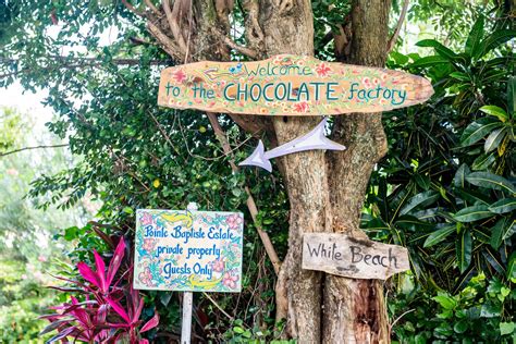 Pointe Baptiste Estate Chocolate Factory Dominica