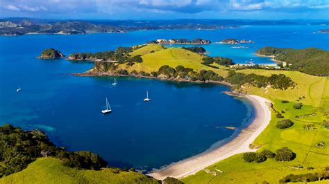 Pou Bay Of Islands & Northland