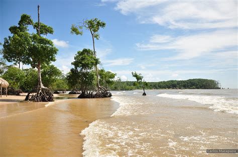 Praia Barra Velha Pará