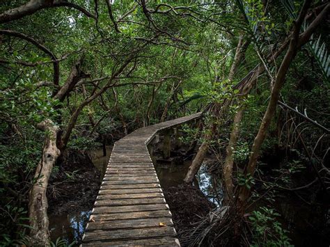 Pulau Selirong Recreational Park Brunei Darussalam