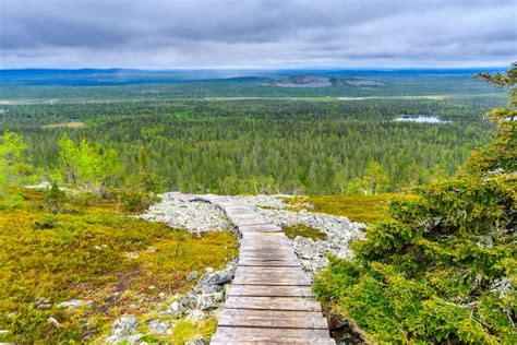 Pyhä-Luosto National Park Lapland